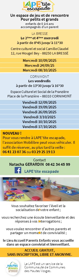 Le Lieu Accueil Parents Enfants (LAPE)